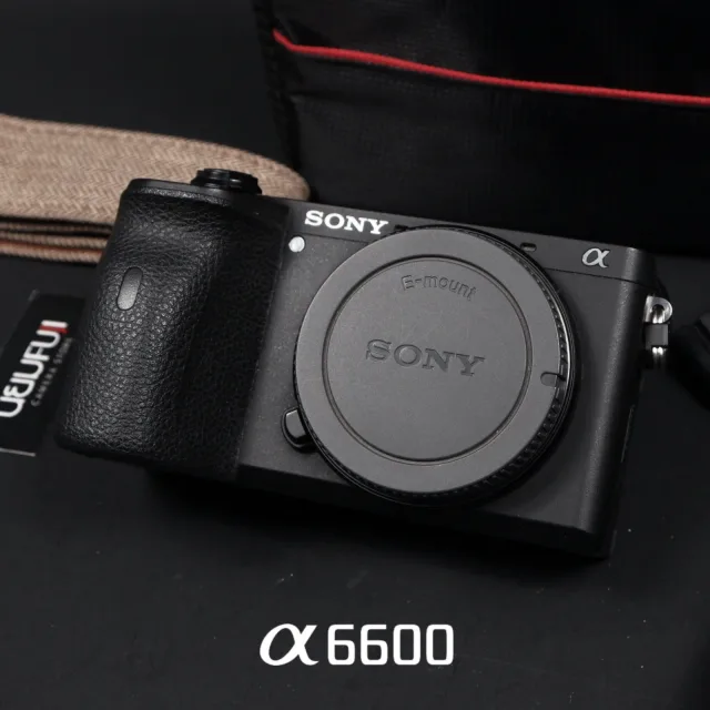 Sony A6600