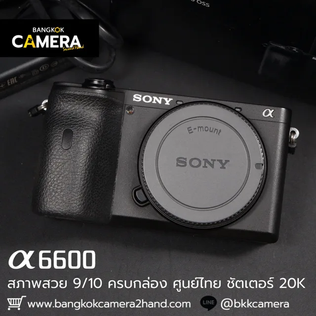 Sony A6600 Body